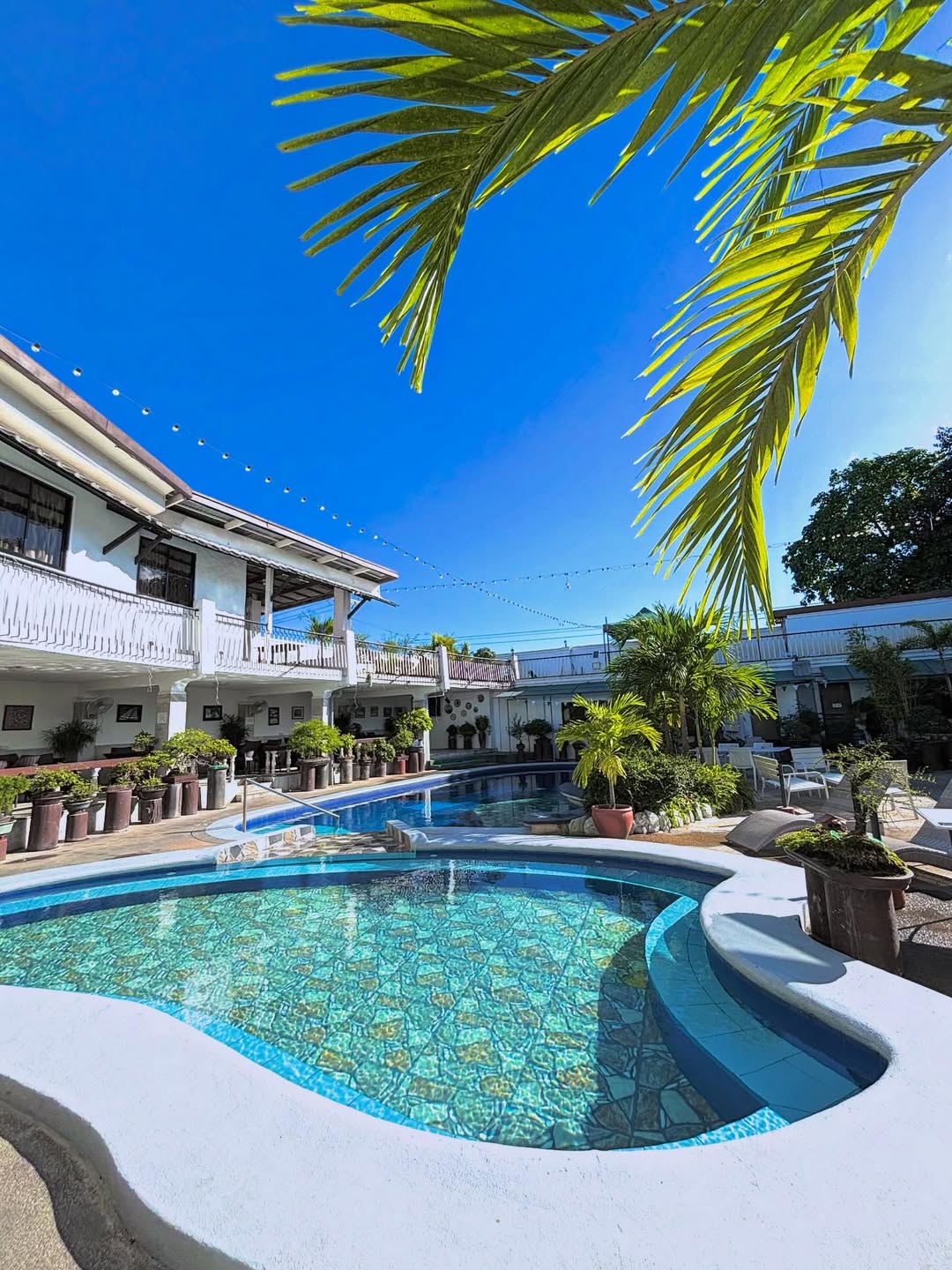 SaveGram.App_610674120_17851575588607435_4792292038446013034_n